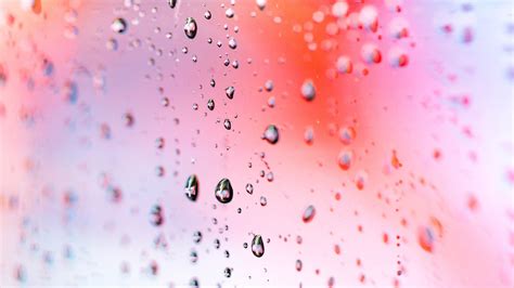 Rain Droplets Macro 4k Wallpapers Hd Wallpapers Id 24460