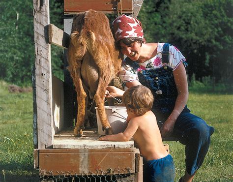 Raising Dairy Goats And The Benefits Of Goat Milk Mother Earth News