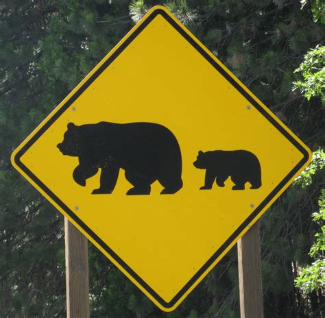 East Of Allen Bear Signs
