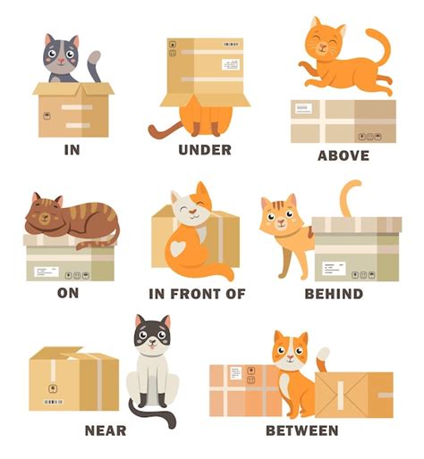 Free Vector Cat In Different Poses With Box Cartoon Illustration Set