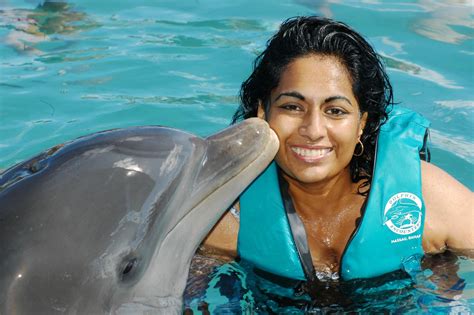 Dolphin Encounters Nassau Nassau Paradise Island Bahamas