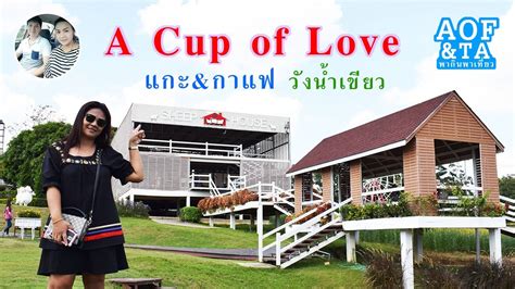 A Cup Of Love ชมบ้านแกะ แวะดื่มกาแฟที่ อวังน้ำเขียว Youtube