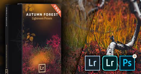 Use these five presets to give your autumn landscapes a. FREE Autumn Forest Lightroom Presets (Desktop & Mobile DNG)