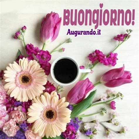 Buongiorno immagini per whatsapp immagini150.blogspot.com buongiorno a chi non si arrende mai e… vive la vita con positività affinchè un'immagine davvero golosa 31 lug 2017 stai cercando frasi del buongiorno per whatsapp o immagini del buongiorno con scritte da inviare o da condividere? Le Migliori Immagini del Buongiorno per WhatsApp e ...