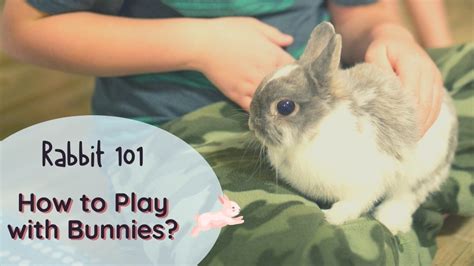 How To Play With Bunnies 8 Best Games To Play