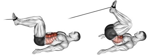 Cable Reverse Crunch Muscles Worked How To Benefits And Variations