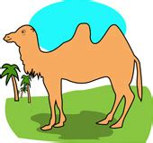 Share your thoughts, experiences and the tales behind the art. Camel clipart hump, Camel hump Transparent FREE for ...