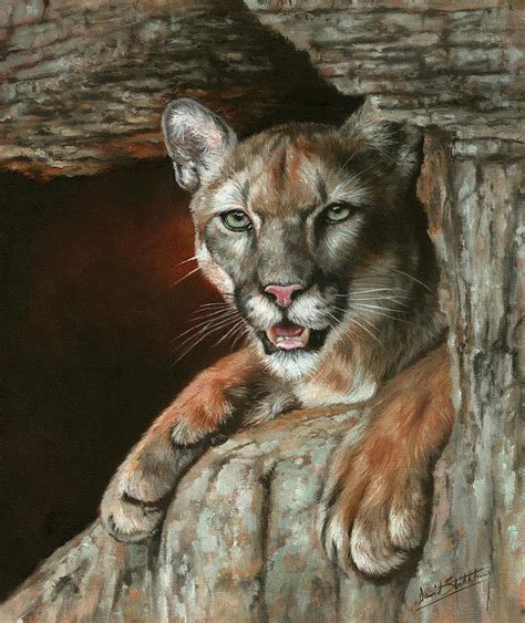 Cougar Among Rocks Painting By David Stribbling Fine Art America