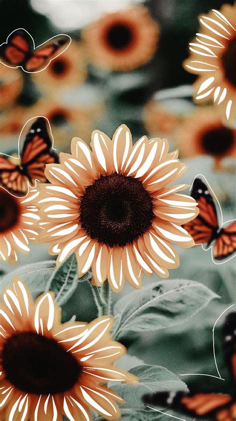 Pin By Ava Stover On Sunflower Wallpaper Cute Flower Wallpapers