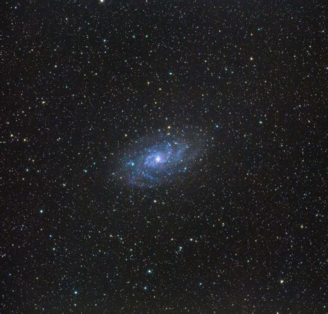 The Triangulum Galaxy Or Messier 33 Is A Spiral Galaxy 27 Million