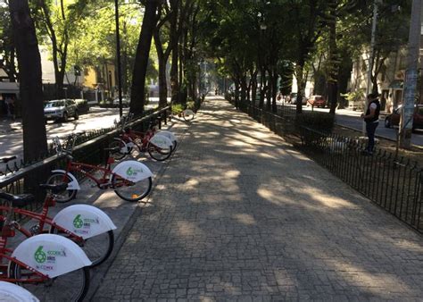 The Magic Of Tree Lined Streets