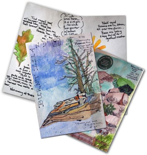 Nature journal pages | Nature journal, Nature inspiration ...