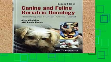 Review Canine And Feline Geriatric Oncology Honoring The Human Animal