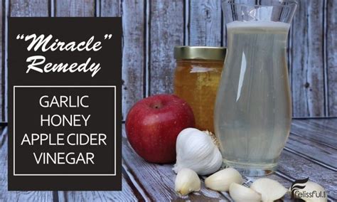 Garlic Apple Cider Vinegar And Honey Powerful Immune Booster How To Make Felissful Honey
