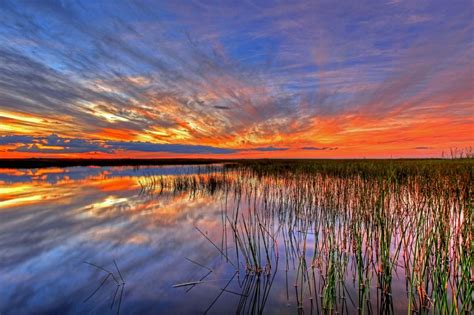 Colorful Everglades Sunset Everglades Florida Everglades National Park