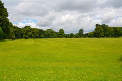 Free Images Tree Nature Grass Structure Plant Field Lawn