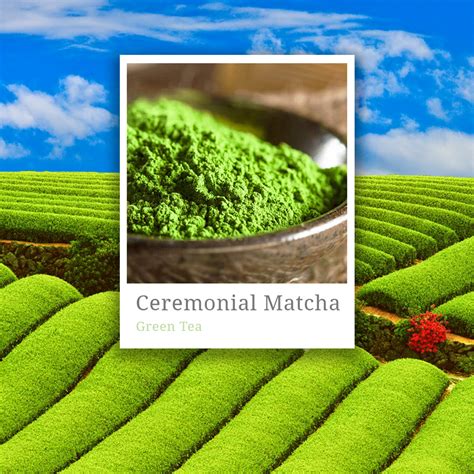Ceremonial matcha is intended to be mixed directly into hot water and consumed as tea. Ceremonial Grade Matcha Tea | Fuji | Speciality Tea & Coffee