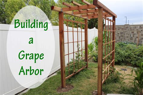 This modern take on the typical trellis (by yours truly!) is a great way to fill up a blank fence wall. Building a Grape Arbor - Stoney Acres