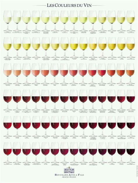 The Colors Of Wine Bouchard Anie Et Fils Vinos Y Quesos Cata De