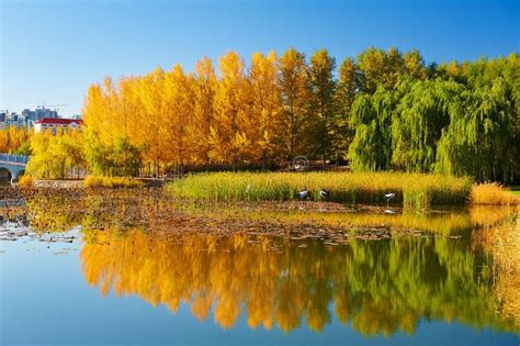 The Autumn Lakeside Landscape Stock Image Image Of Boulevard