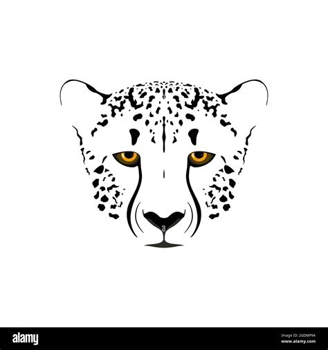 Cheetah Head Black And White Vector Illustration Stock Vector Image