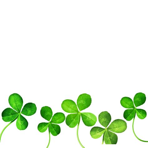 Clover Clipart Clover Field Transparent Leaf Clover Png Cliparts Images And Photos Finder