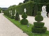 Pictures of Garden Designer Of Versailles