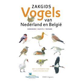 Minigids Roofvogels Van Nederland En Belgi Ivn Winkel