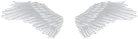 Angel Wings Overlays Png Download Angel Wings Hd Png Transparent Images