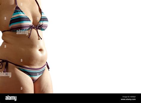 Spinne Sinnvoll Hundert Bikini Trotz Dicken Bauch Abdomen Karotte Leiter