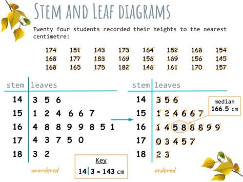 Stem And Leaf Diagram Explained