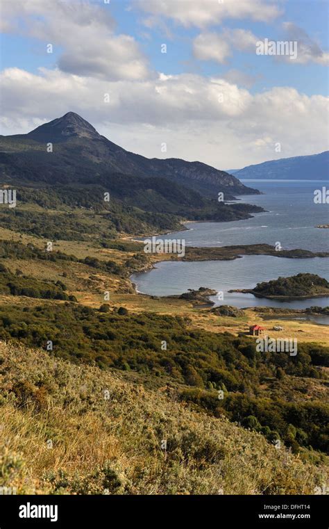 Wulaia Bay Navarino Island Tierra Del Fuego Patagonia Chile South