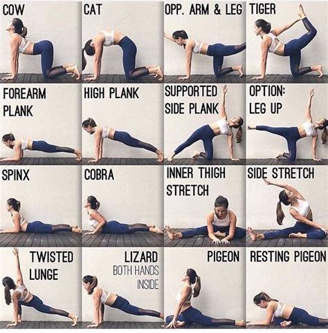 Pin By Alina Ott On Maintaining Healthy Body And Mind Exercise Yoga Poses Yoga Postures