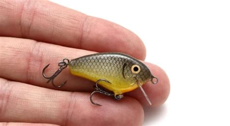 The 10 Best Trout Lures For Rivers In 2024 The Best Fishing Reel