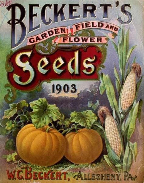 250 Best Vintage Seed Packets Images On Pinterest Seed Catalogs
