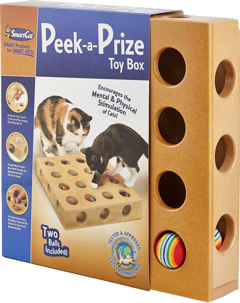 Smartcat Peek A Prize Toy Box