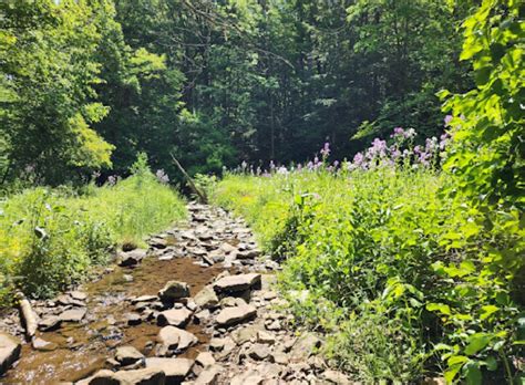 Off-The-Beaten-Path Park in Johnstown, Pennsylvania