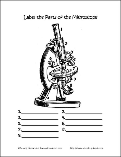 Parts Of The Microscope Printables Word Searches And More Label The