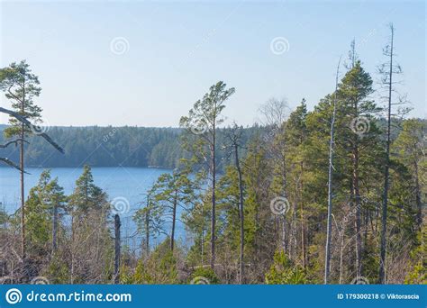 The Lake In The Swedish Forest Photo Of Scandinavian Nature Stock