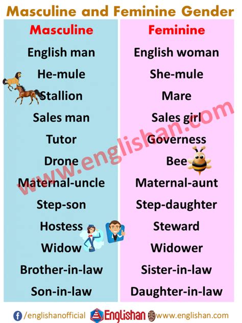 100 Examples Of Masculine And Feminine Gender List Englishan In 2021