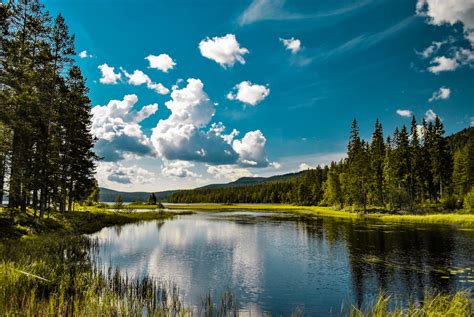 Die Top 12 Nationalparks In Schweden Urlaubstrackerat