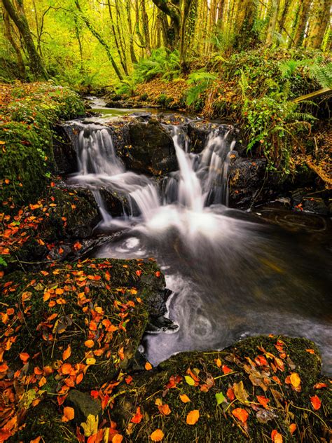 Autumn Falls A Small Waterfall With The Autumn Leaves And The Autumnal Colours A Wonderful