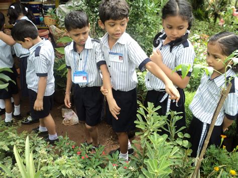The Rustomjee Cambridge Diaries Visit To A Nursery Students Of Grade 2