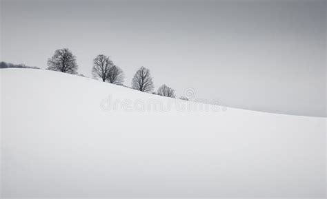 Simple Winter Landscape Stock Photo Image Of Gray