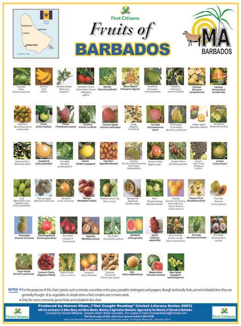 Barbados Barbados Food Fruit