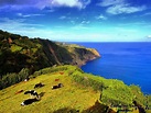 Nordeste São Miguel Açores - a photo on Flickriver