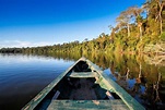 Amazonas-Regenwald um Manaus, Brasilien | Franks Travelbox