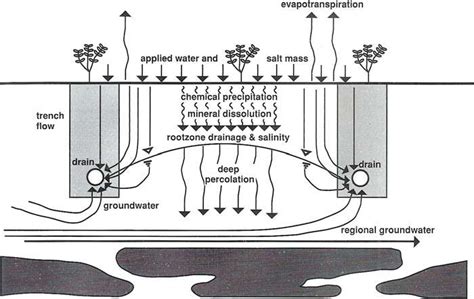 Schematic Illustration Of The Flow Of Water Through Soil With Respect