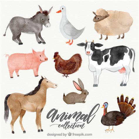 Watercolor Farm Animals Clipart Set Cute Baby Animals Png