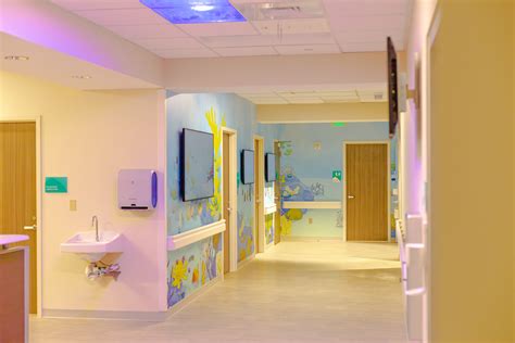 Pediatric Healing Environment Fren